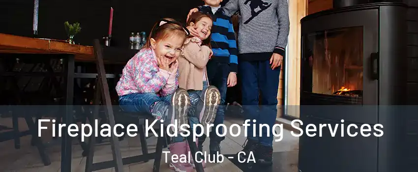 Fireplace Kidsproofing Services Teal Club - CA