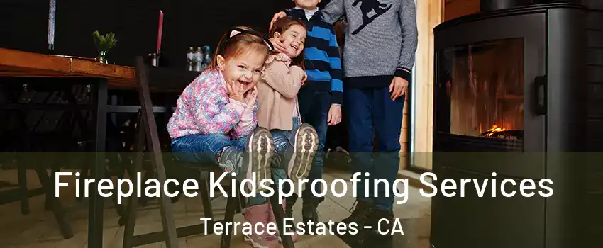 Fireplace Kidsproofing Services Terrace Estates - CA