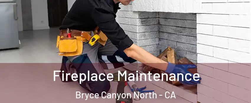 Fireplace Maintenance Bryce Canyon North - CA