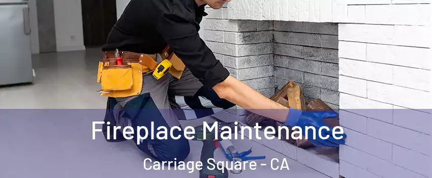 Fireplace Maintenance Carriage Square - CA