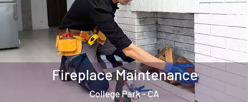 Fireplace Maintenance College Park - CA
