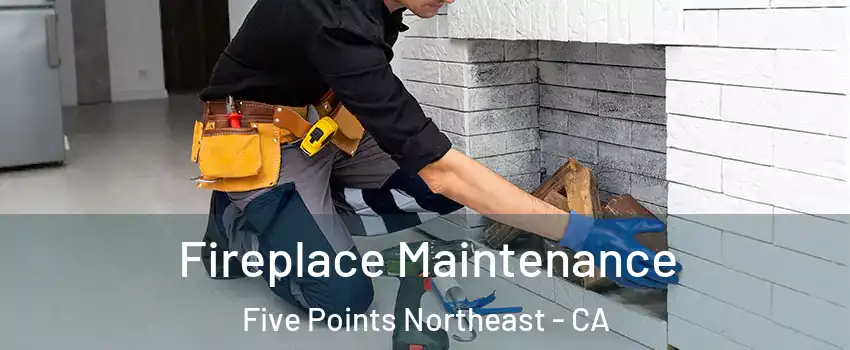 Fireplace Maintenance Five Points Northeast - CA