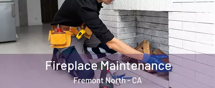 Fireplace Maintenance Fremont North - CA