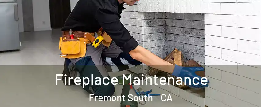 Fireplace Maintenance Fremont South - CA
