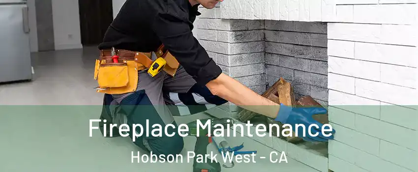 Fireplace Maintenance Hobson Park West - CA