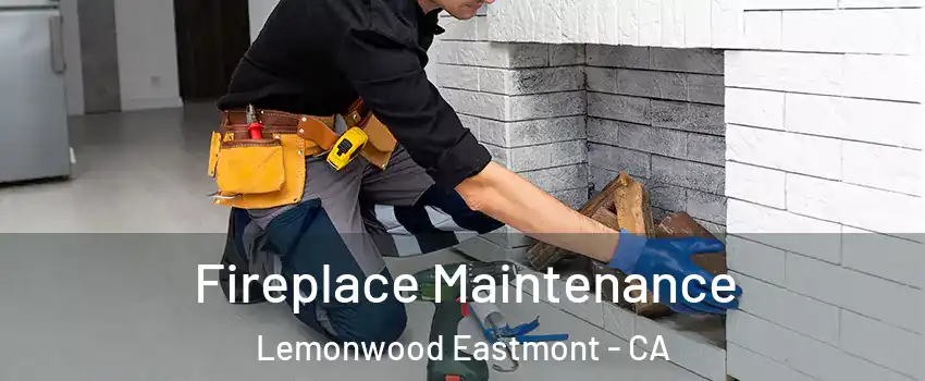 Fireplace Maintenance Lemonwood Eastmont - CA
