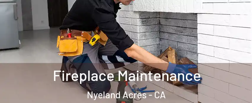Fireplace Maintenance Nyeland Acres - CA