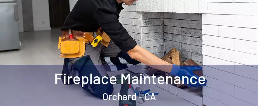 Fireplace Maintenance Orchard - CA