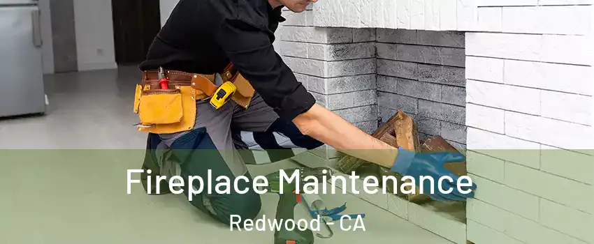 Fireplace Maintenance Redwood - CA