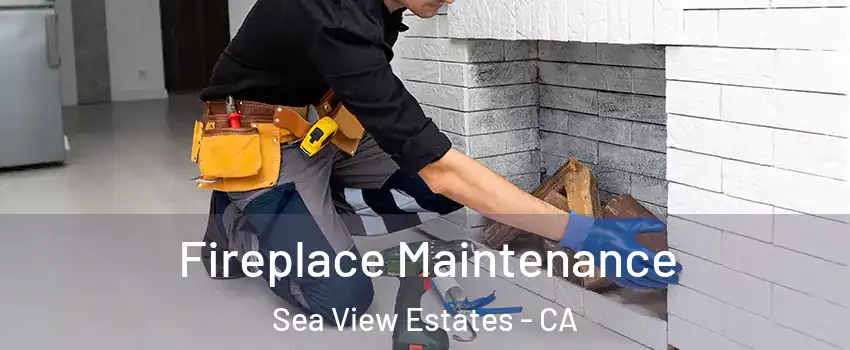 Fireplace Maintenance Sea View Estates - CA