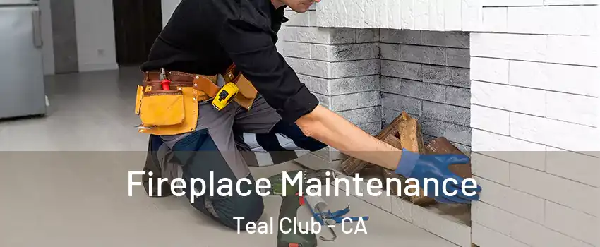 Fireplace Maintenance Teal Club - CA
