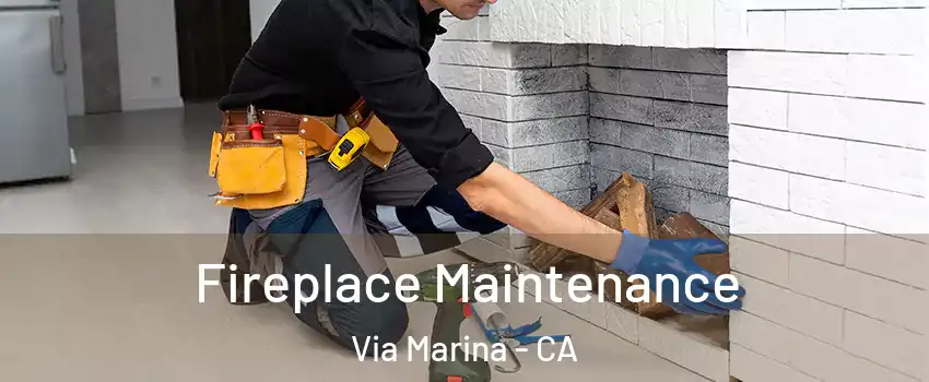 Fireplace Maintenance Via Marina - CA