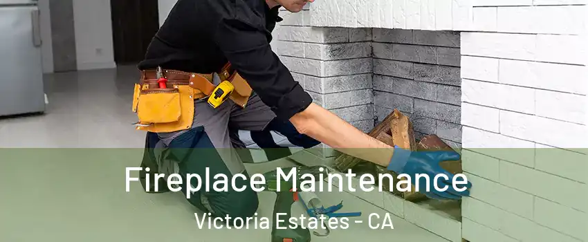 Fireplace Maintenance Victoria Estates - CA