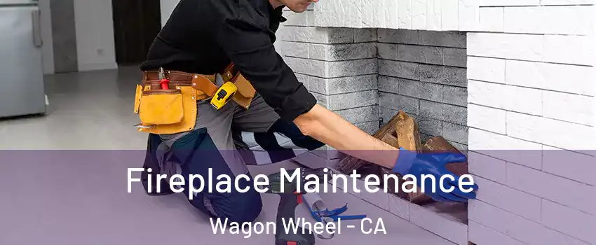Fireplace Maintenance Wagon Wheel - CA