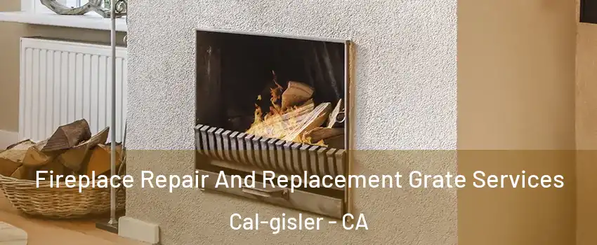 Fireplace Repair And Replacement Grate Services Cal-gisler - CA