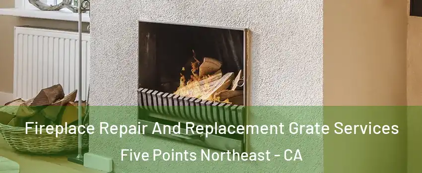 Fireplace Repair And Replacement Grate Services Five Points Northeast - CA