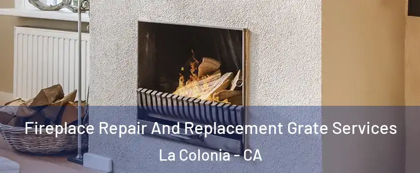 Fireplace Repair And Replacement Grate Services La Colonia - CA