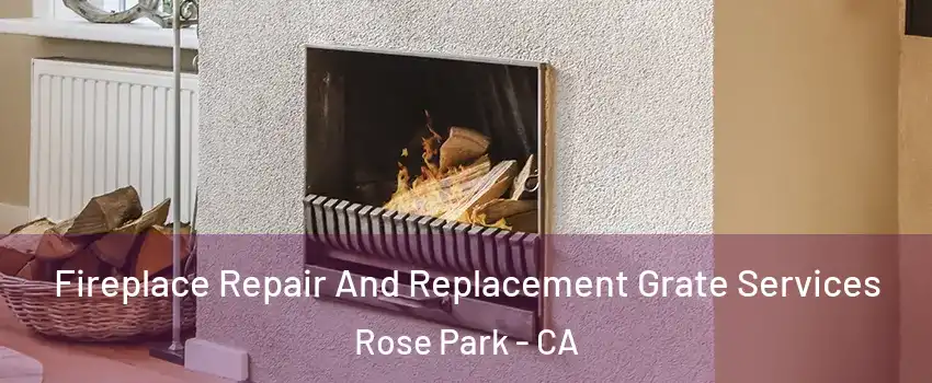 Fireplace Repair And Replacement Grate Services Rose Park - CA