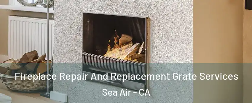 Fireplace Repair And Replacement Grate Services Sea Air - CA