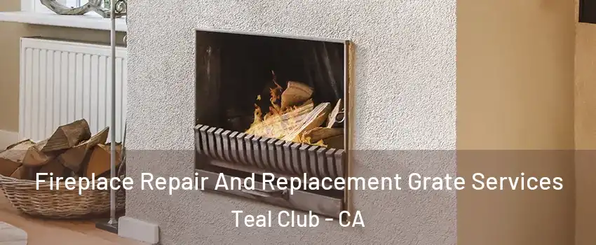 Fireplace Repair And Replacement Grate Services Teal Club - CA