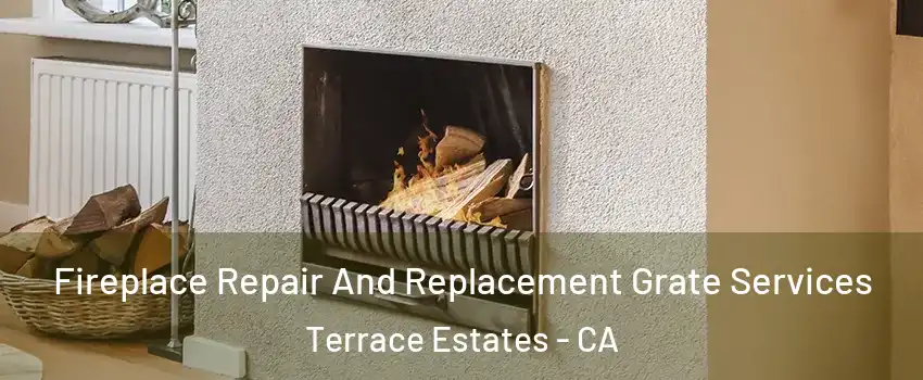 Fireplace Repair And Replacement Grate Services Terrace Estates - CA