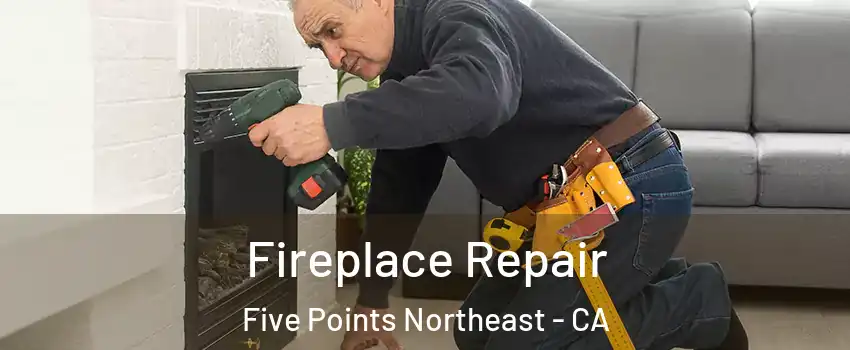 Fireplace Repair Five Points Northeast - CA