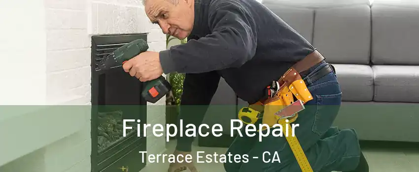 Fireplace Repair Terrace Estates - CA