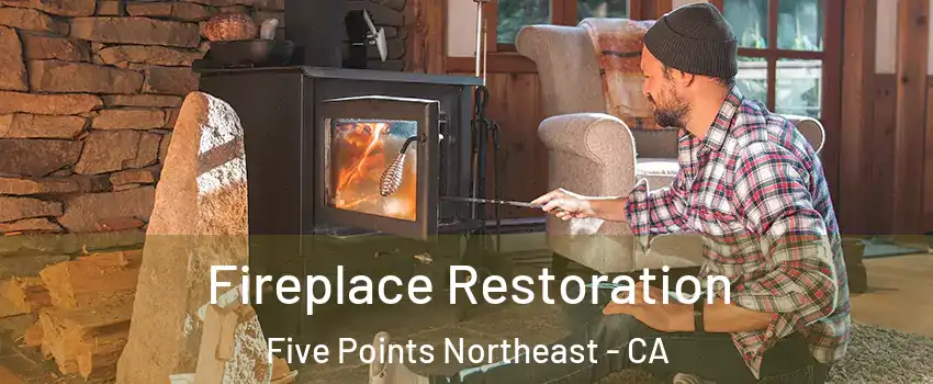 Fireplace Restoration Five Points Northeast - CA