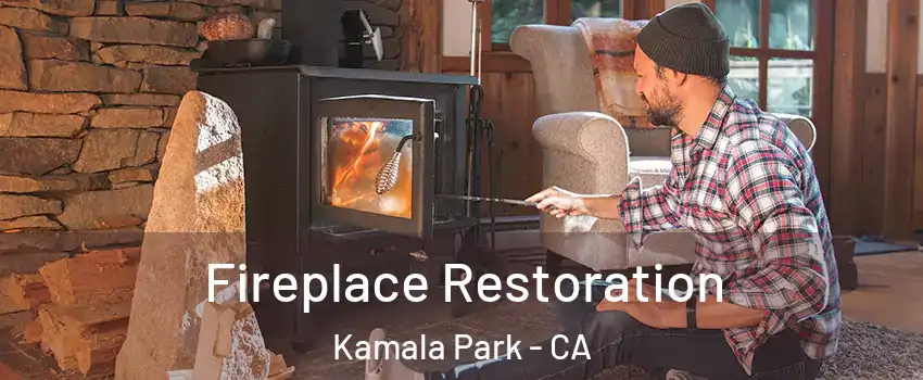 Fireplace Restoration Kamala Park - CA