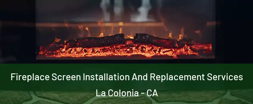 Fireplace Screen Installation And Replacement Services La Colonia - CA