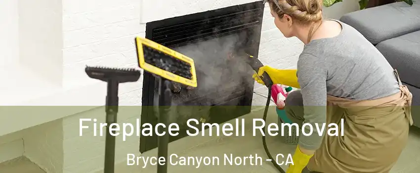 Fireplace Smell Removal Bryce Canyon North - CA