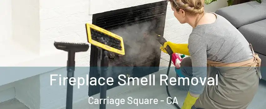 Fireplace Smell Removal Carriage Square - CA