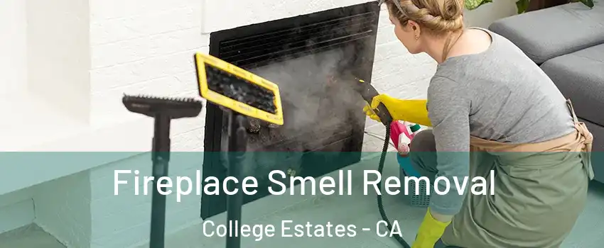 Fireplace Smell Removal College Estates - CA