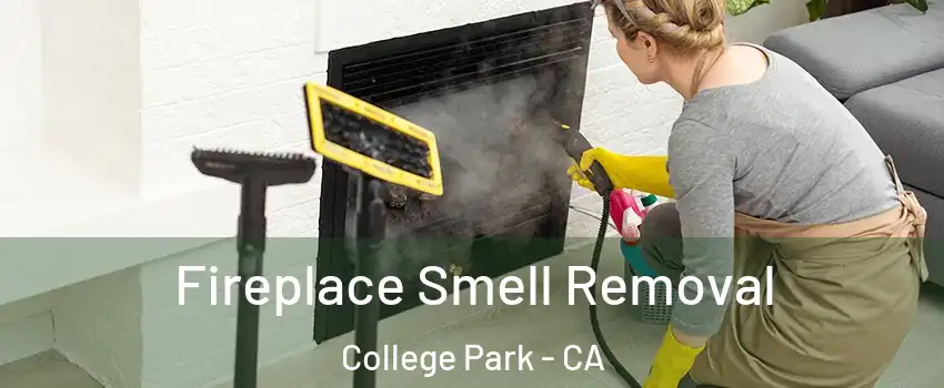 Fireplace Smell Removal College Park - CA