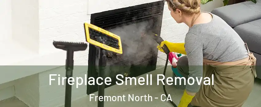 Fireplace Smell Removal Fremont North - CA