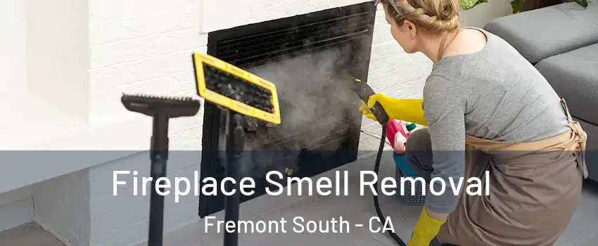 Fireplace Smell Removal Fremont South - CA
