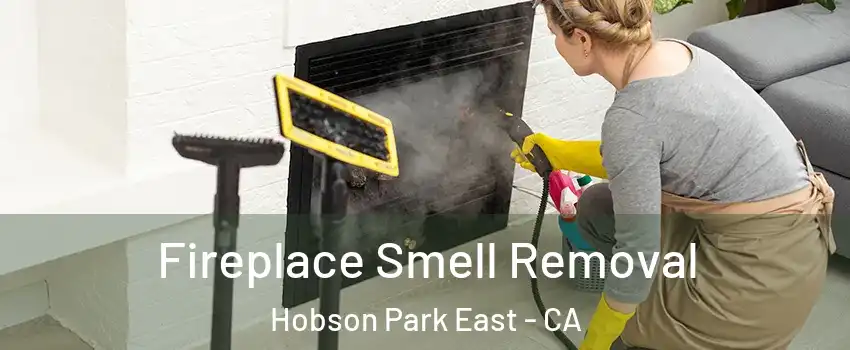 Fireplace Smell Removal Hobson Park East - CA