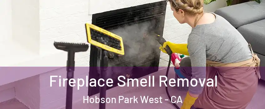 Fireplace Smell Removal Hobson Park West - CA