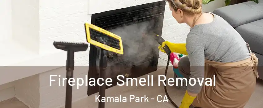 Fireplace Smell Removal Kamala Park - CA