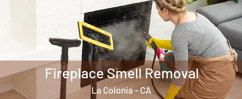 Fireplace Smell Removal La Colonia - CA
