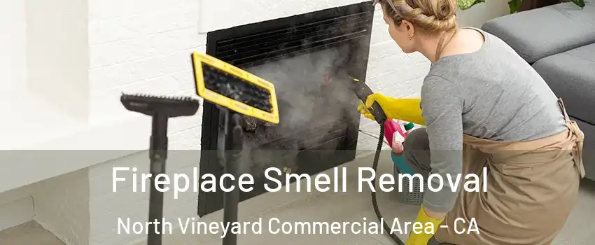 Fireplace Smell Removal North Vineyard Commercial Area - CA