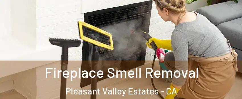 Fireplace Smell Removal Pleasant Valley Estates - CA