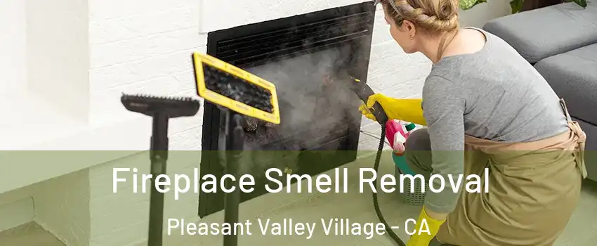 Fireplace Smell Removal Pleasant Valley Village - CA