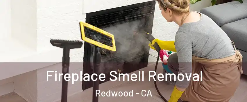 Fireplace Smell Removal Redwood - CA