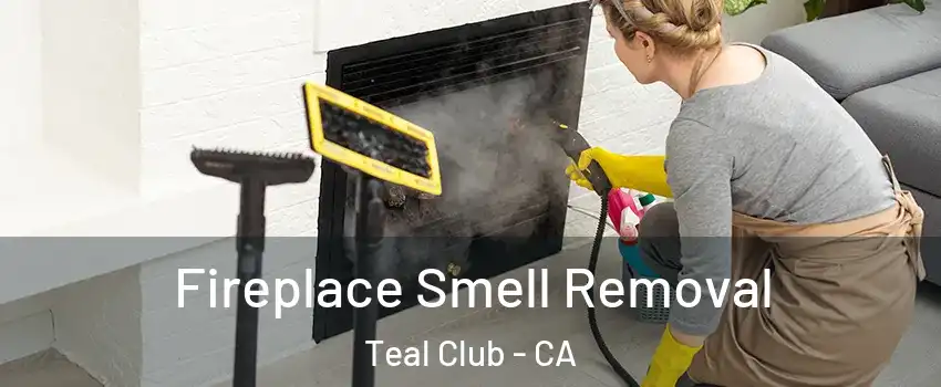 Fireplace Smell Removal Teal Club - CA
