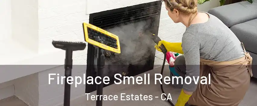 Fireplace Smell Removal Terrace Estates - CA