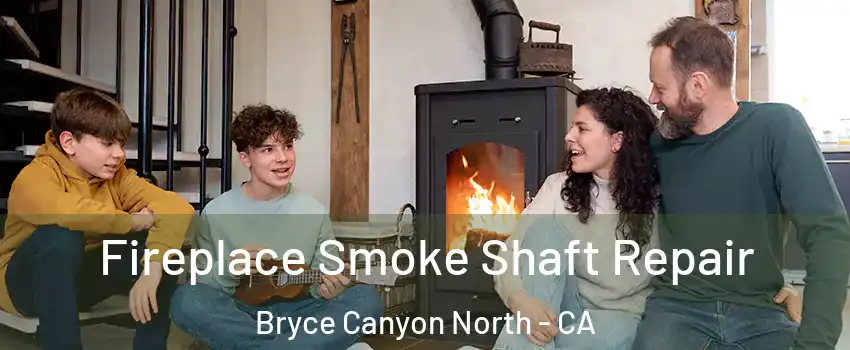 Fireplace Smoke Shaft Repair Bryce Canyon North - CA
