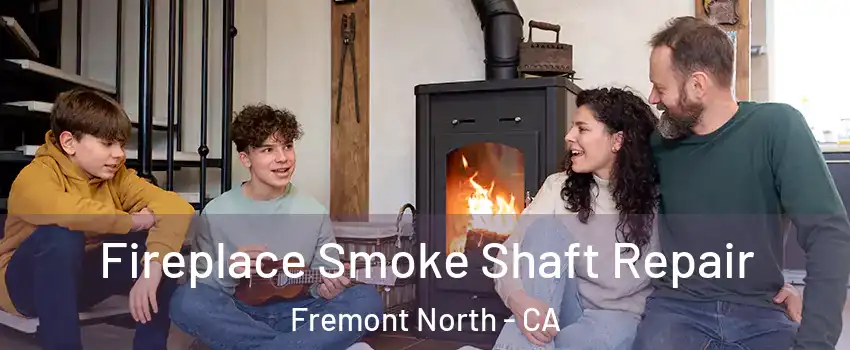 Fireplace Smoke Shaft Repair Fremont North - CA