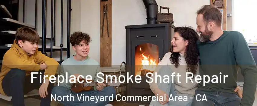 Fireplace Smoke Shaft Repair North Vineyard Commercial Area - CA