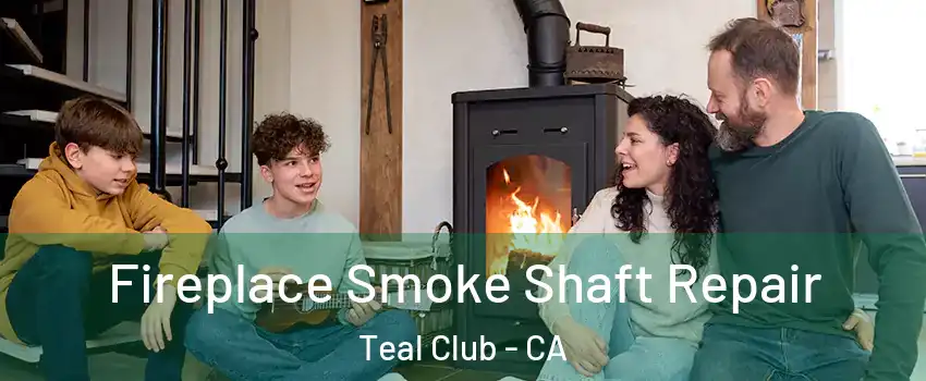Fireplace Smoke Shaft Repair Teal Club - CA